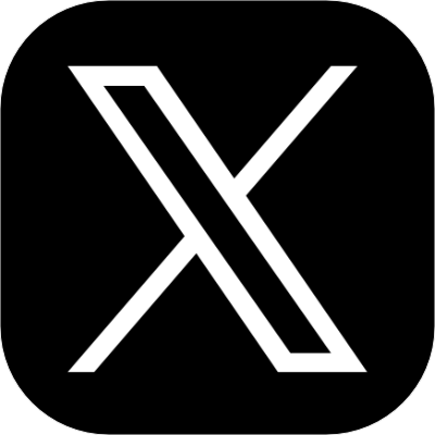 公式X
